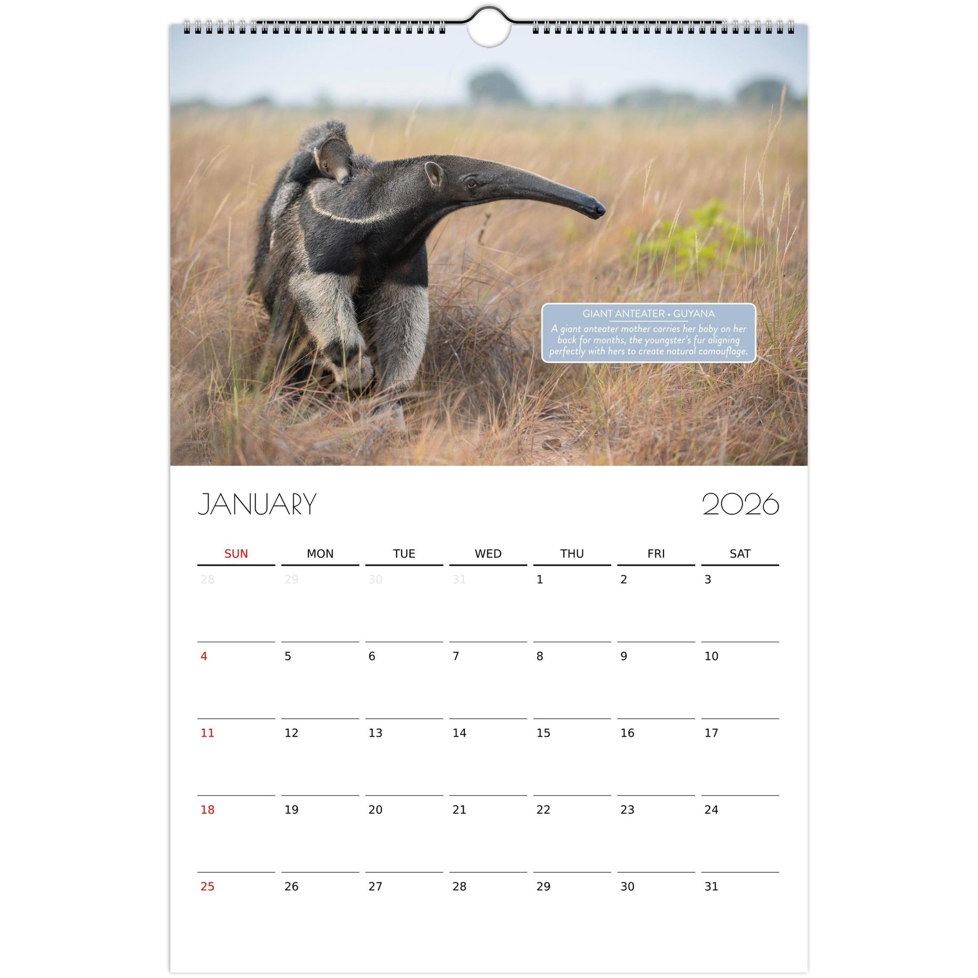 03fb14b8-d3ff-4251-bd6d-4abed8c64836