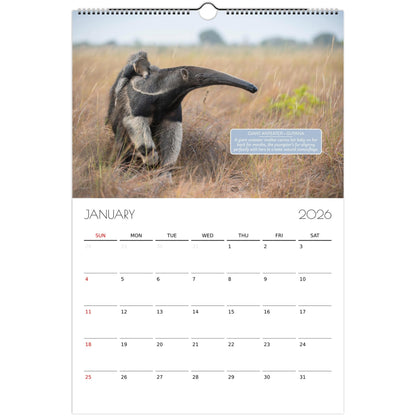 03fb14b8-d3ff-4251-bd6d-4abed8c64836