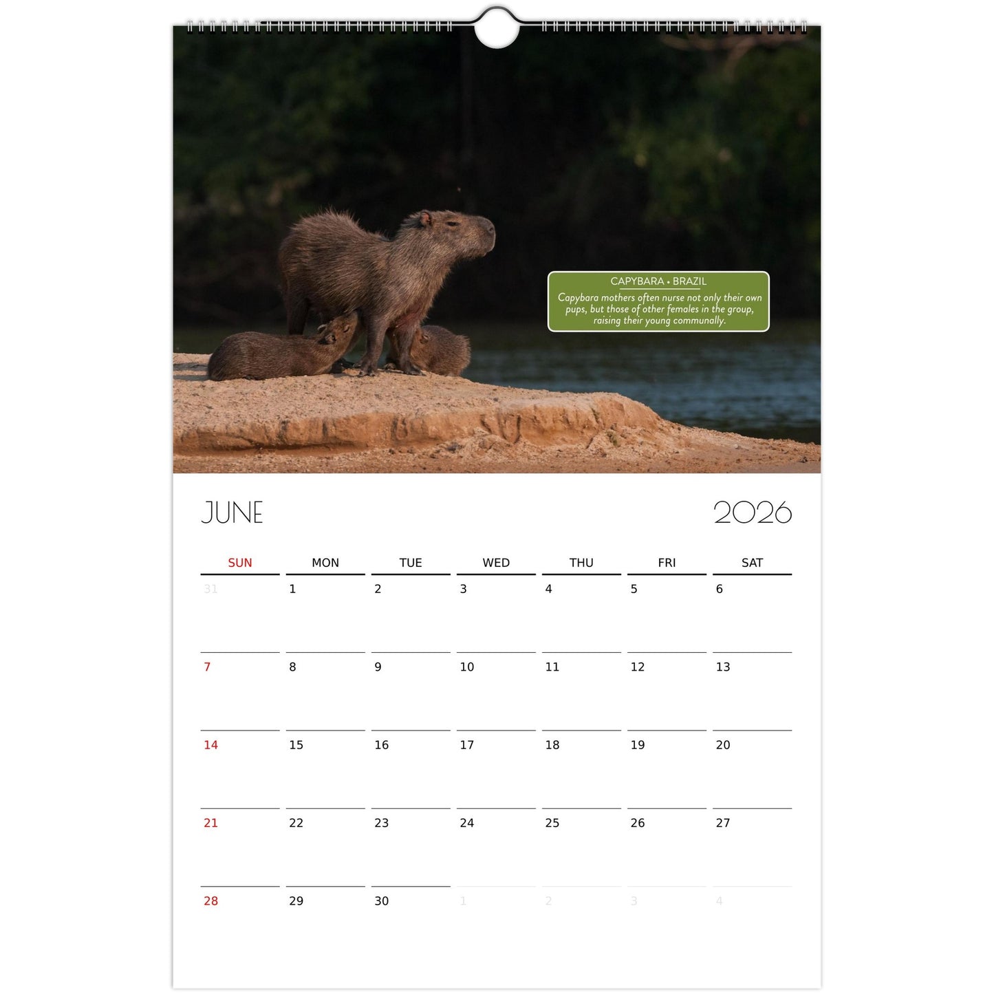 11aa1ec8-6503-4297-b885-e000271d7901