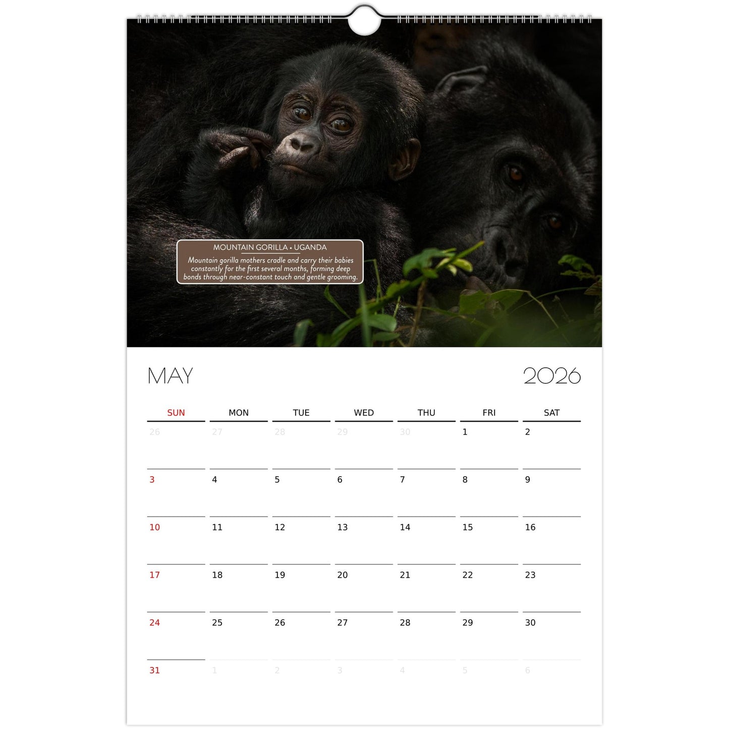 2f87a805-c45e-4824-a25f-bf47761e2154