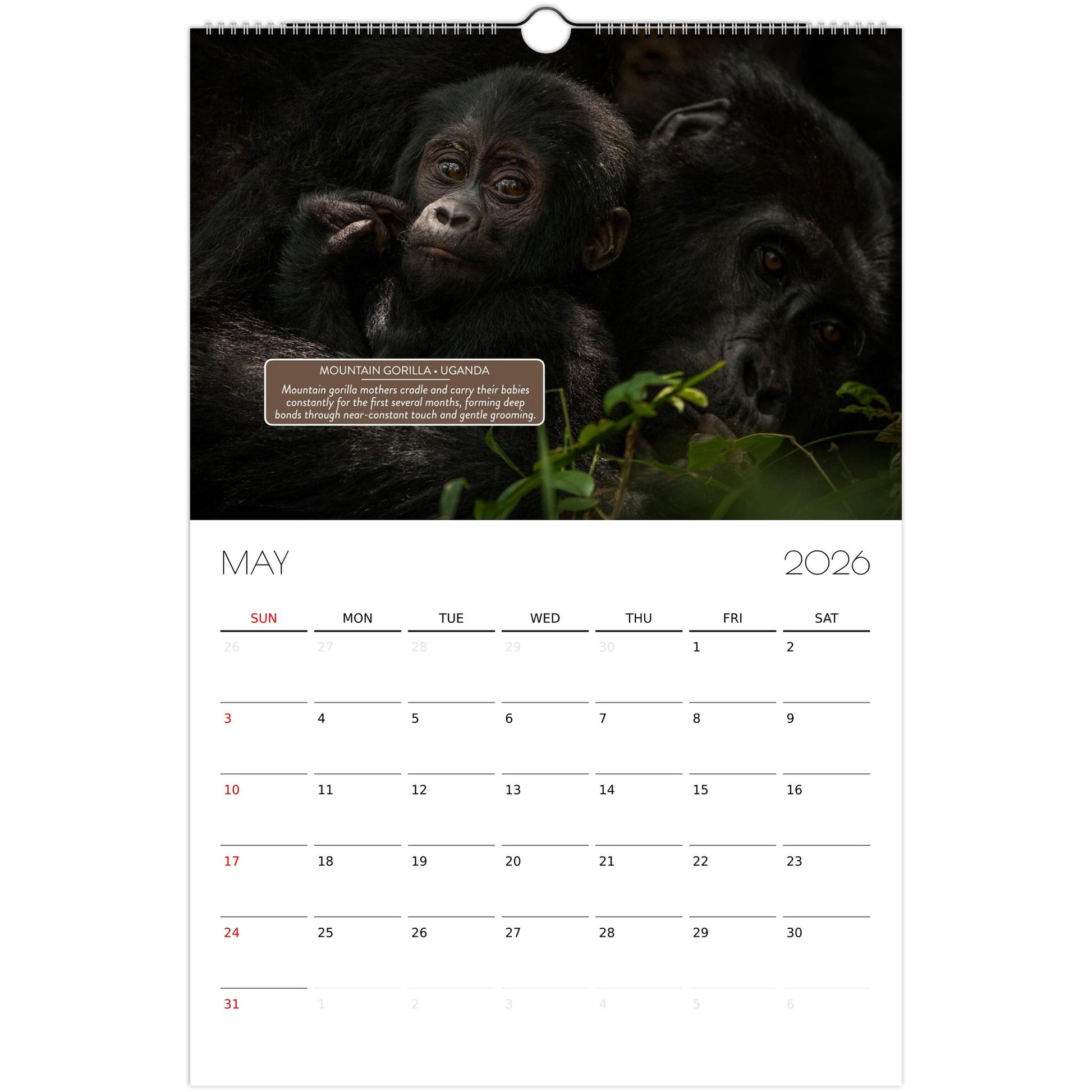 2f87a805-c45e-4824-a25f-bf47761e2154