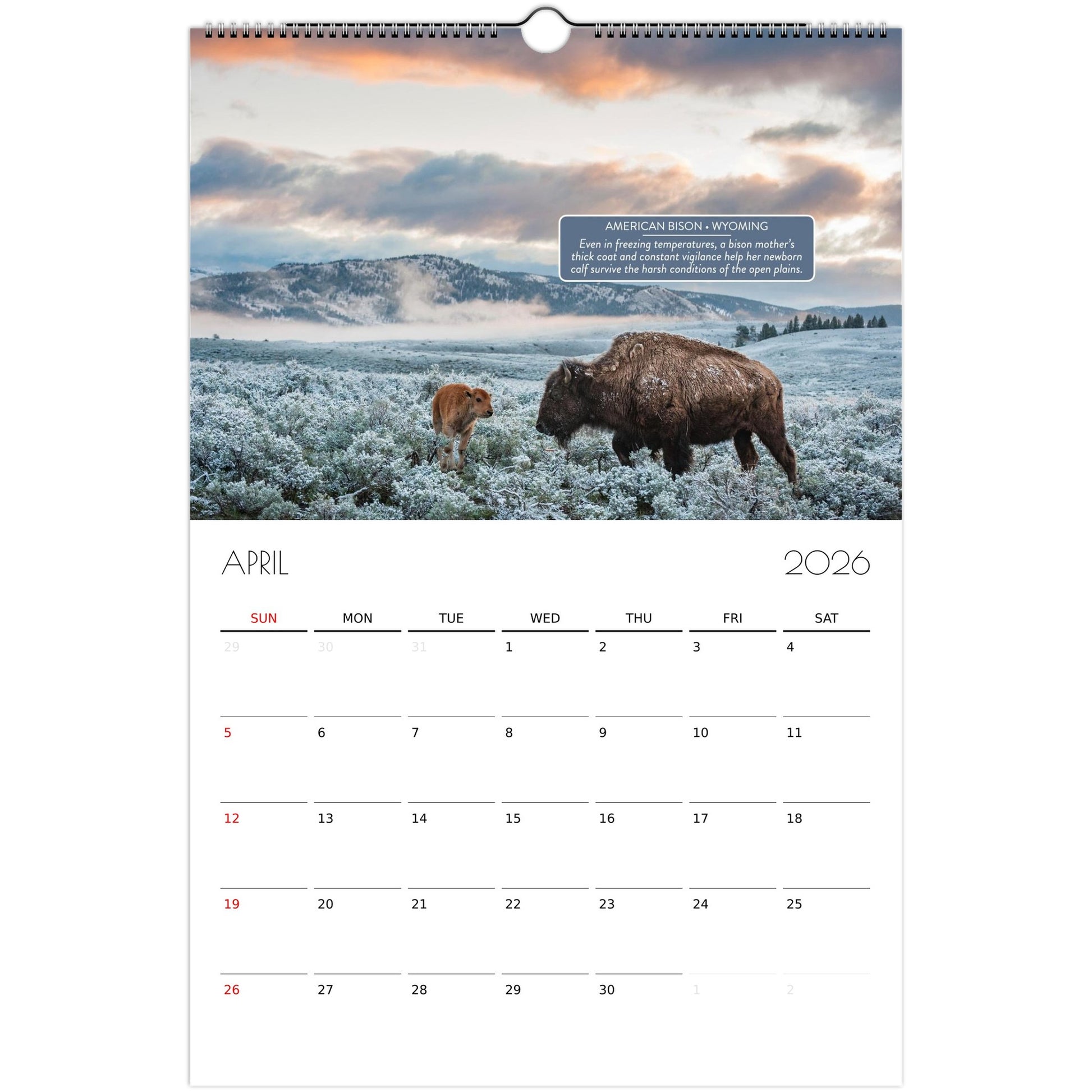 301a6bb0-b3ac-4560-8859-12e1b4b408ff