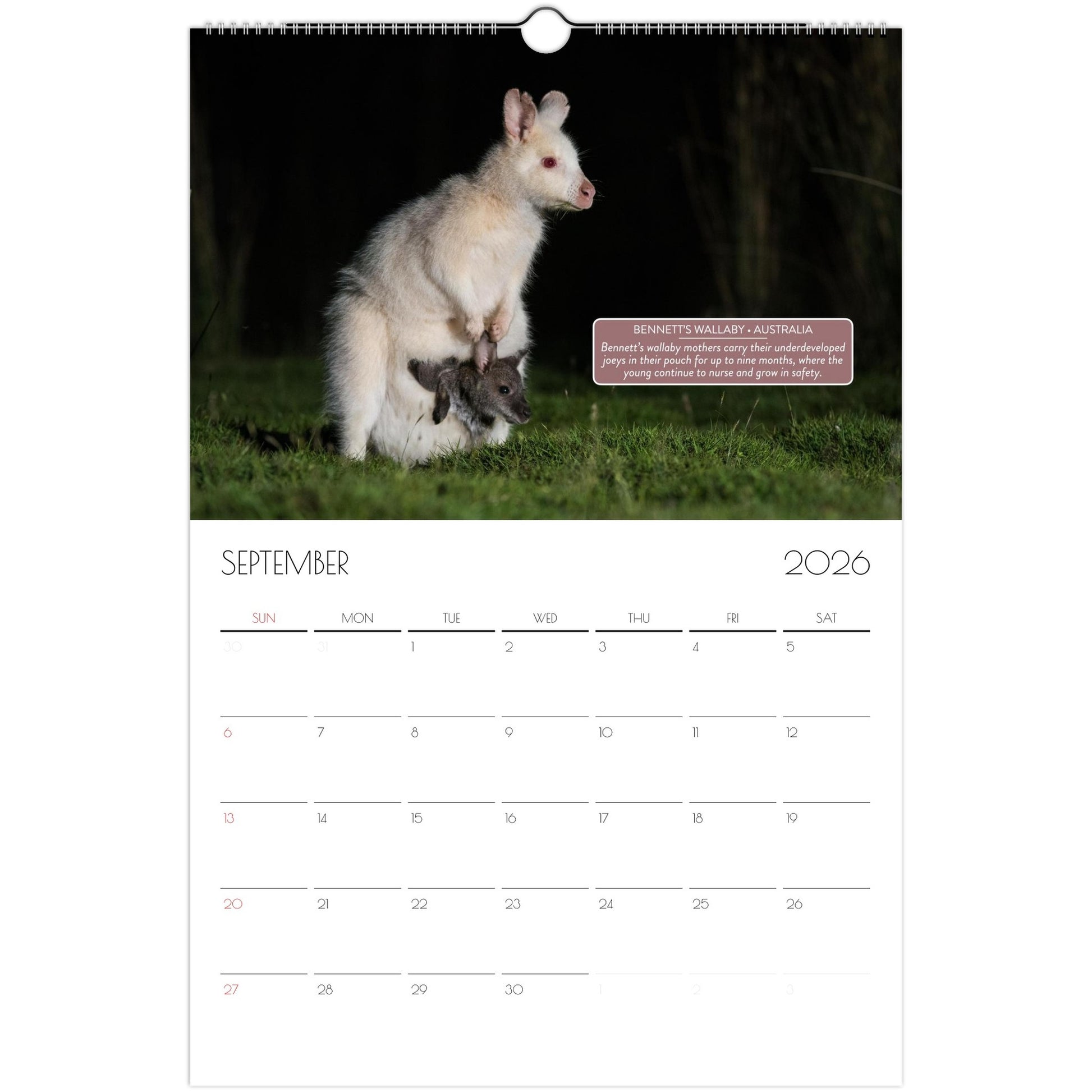 3505f4ef-b507-4221-b763-863fcd8bb217