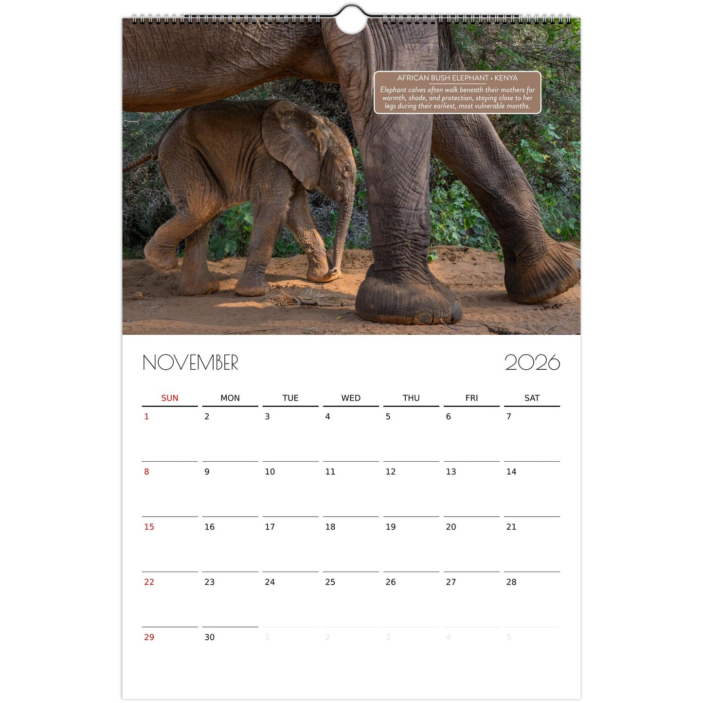 4608f73c-cb0d-408a-a612-caf99d8ecc88