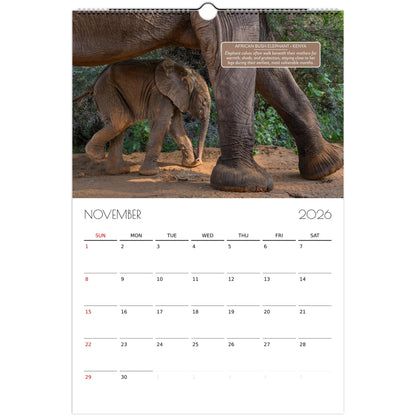 4608f73c-cb0d-408a-a612-caf99d8ecc88