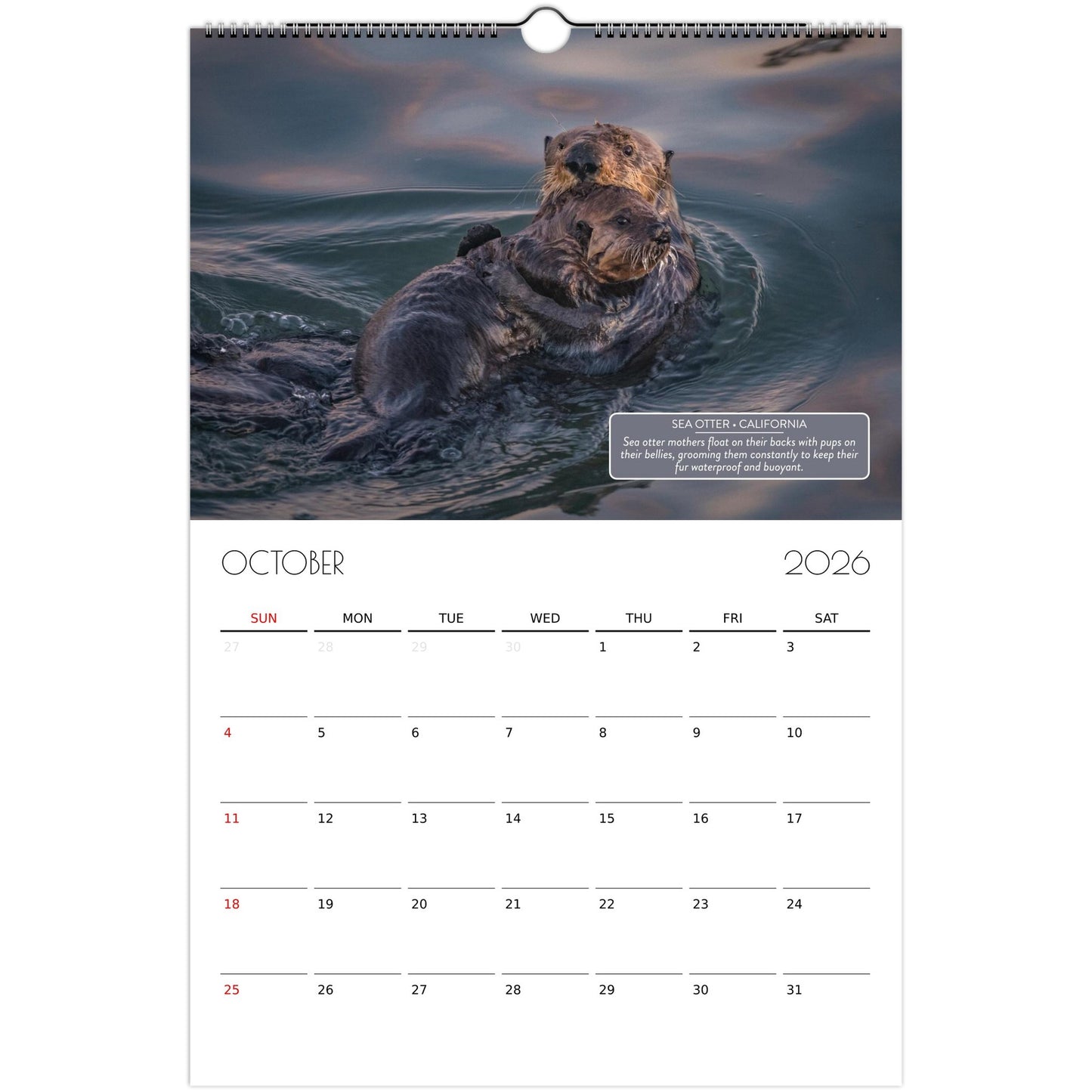 58d656ab-5c8d-4629-8583-c5d87d3a3309