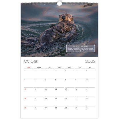 58d656ab-5c8d-4629-8583-c5d87d3a3309