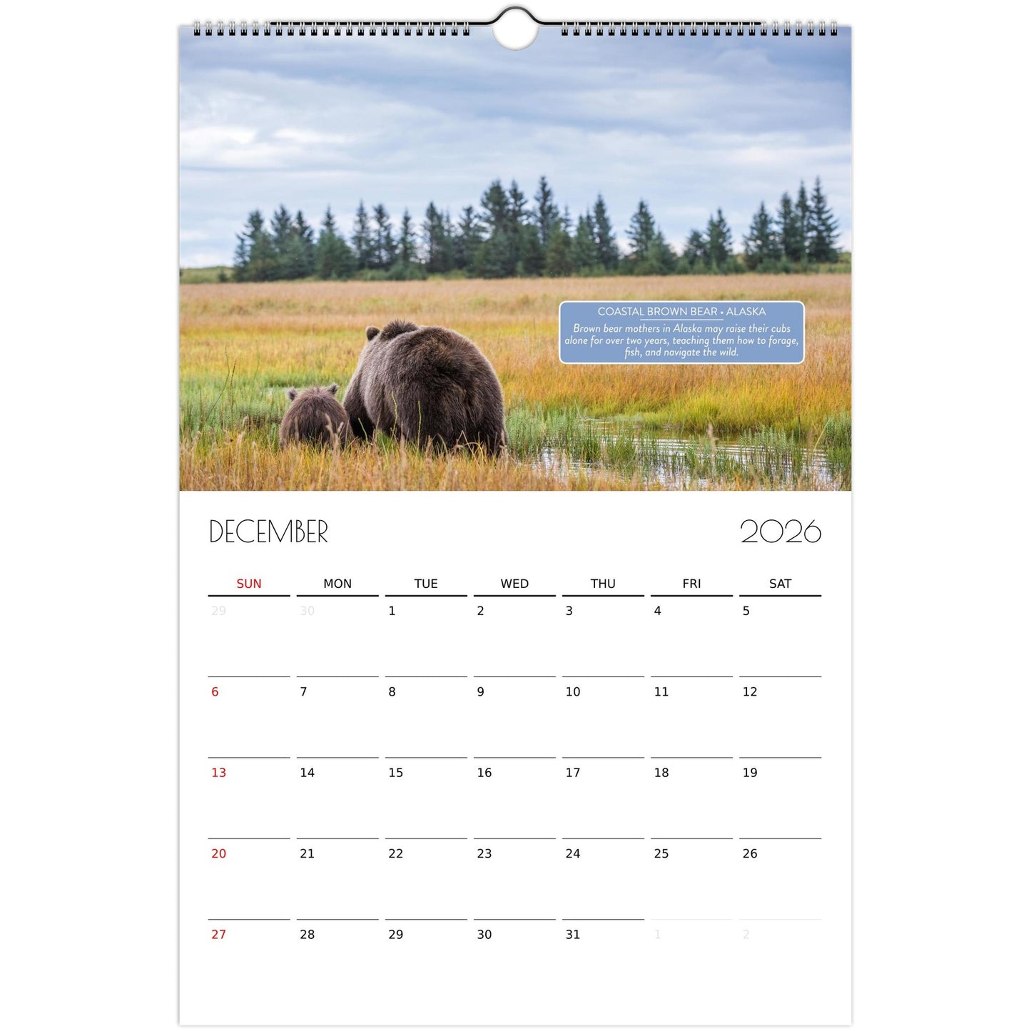 7e3f5101-2237-4c8a-a6c5-88102f026dcb