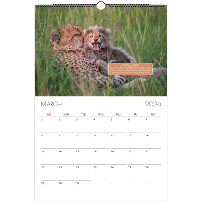 7ece1f5c-748b-4681-9dd4-dff62292ba2f