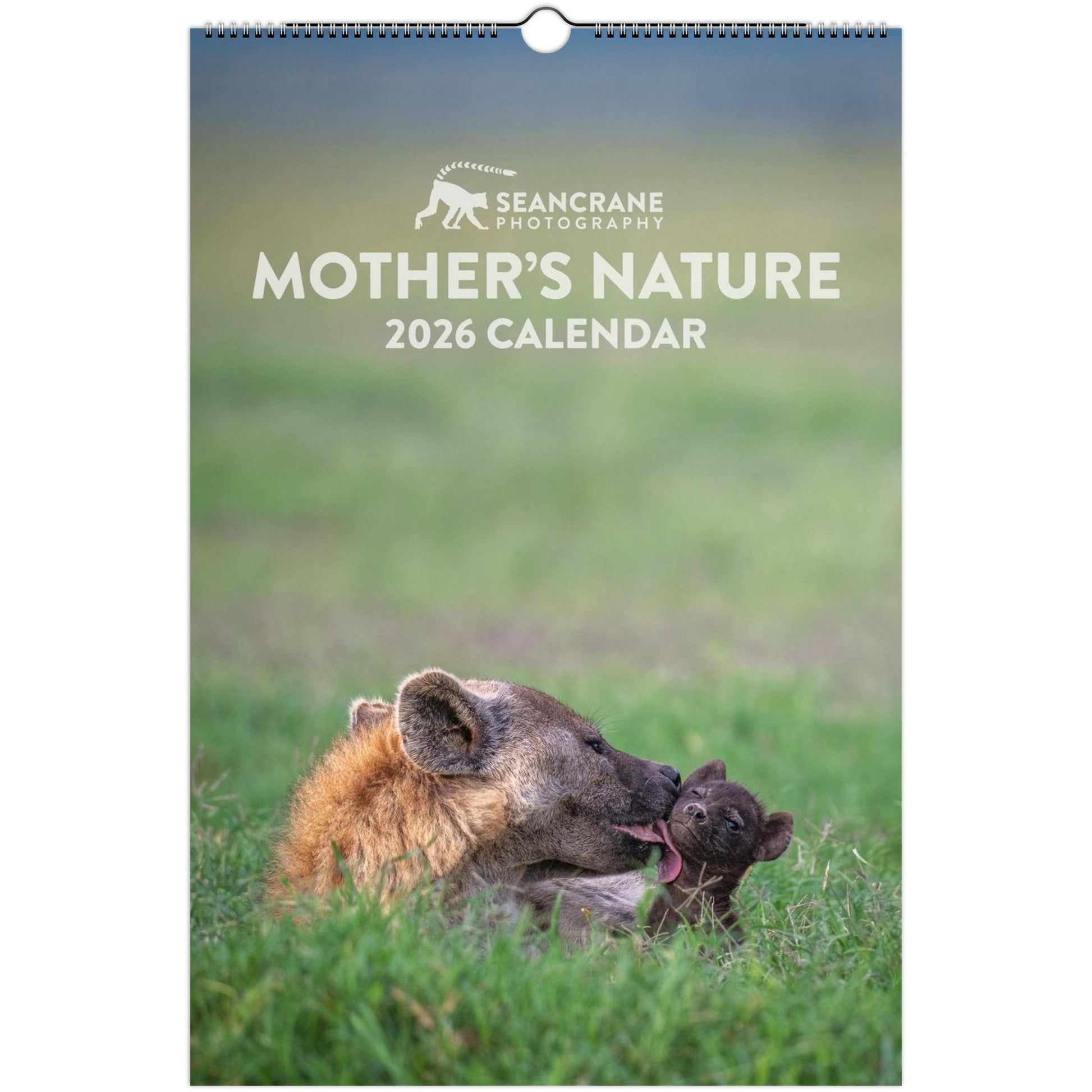 989f9cf4-9fbc-48bc-a8e6-f9a24f6b4b80