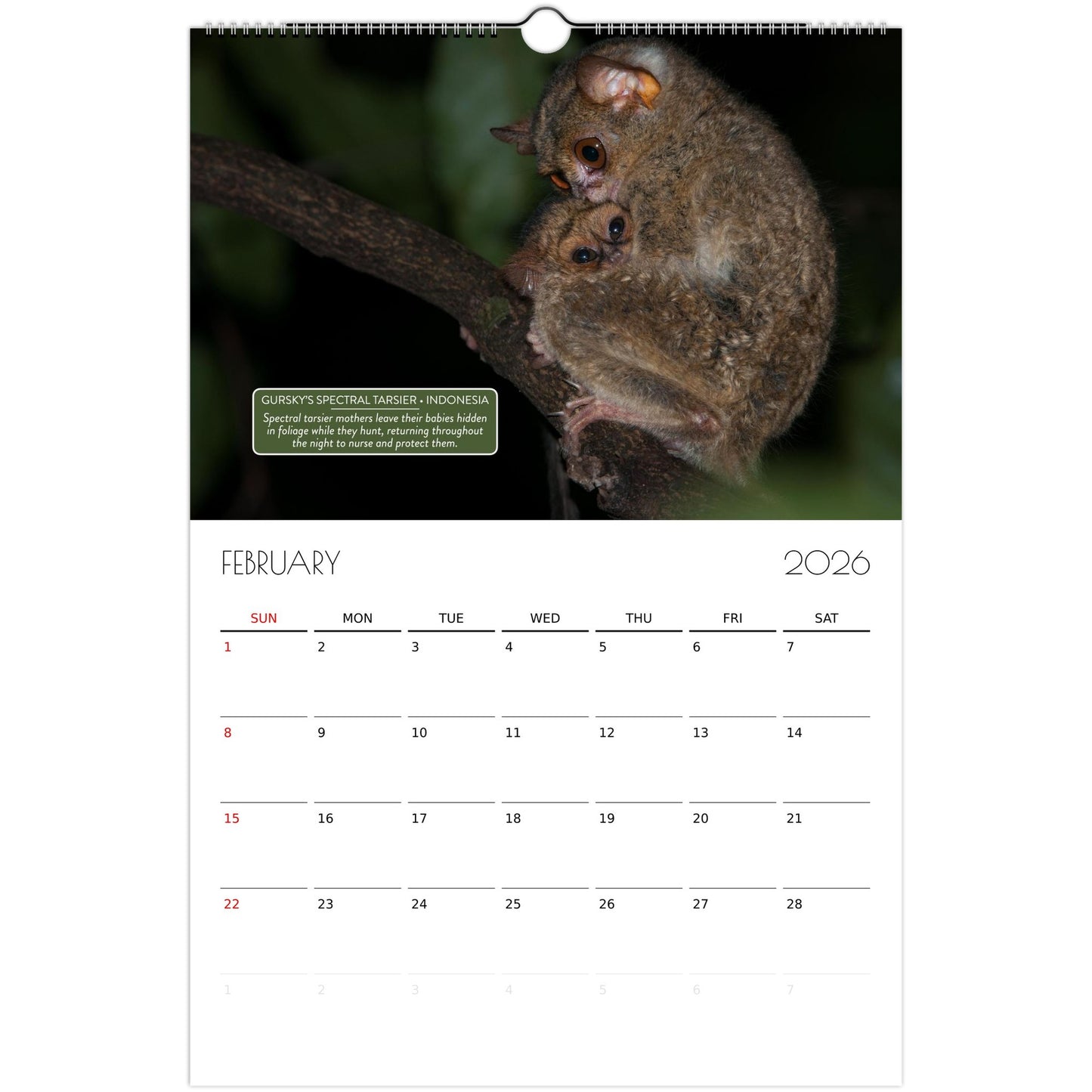 ec1a591b-ec58-4943-9775-913855f27c9b