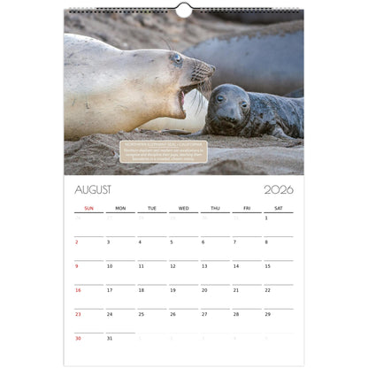 f8625c81-77a7-4265-a150-8ae63d527b98