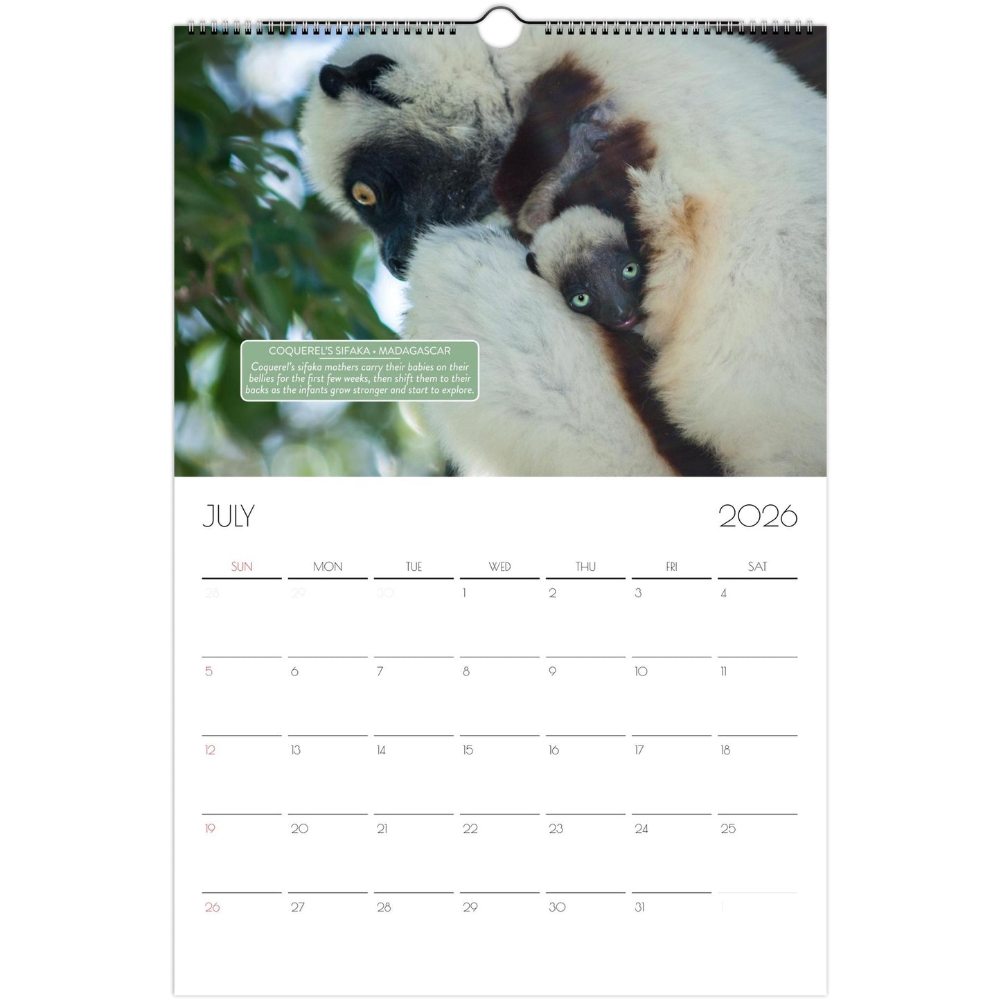 fce2cb38-a314-4253-accf-61d8543799ac